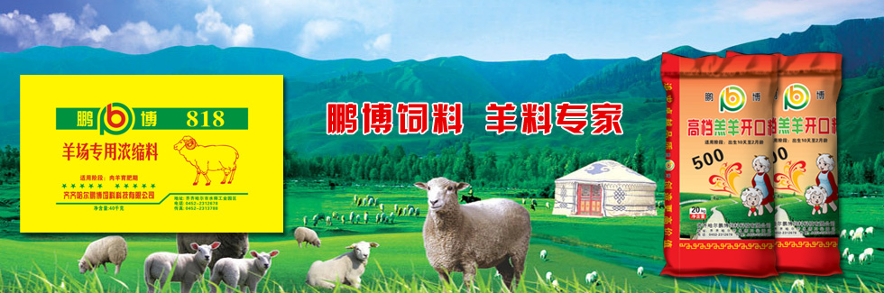 尊龙凯时饲料，羊料专家